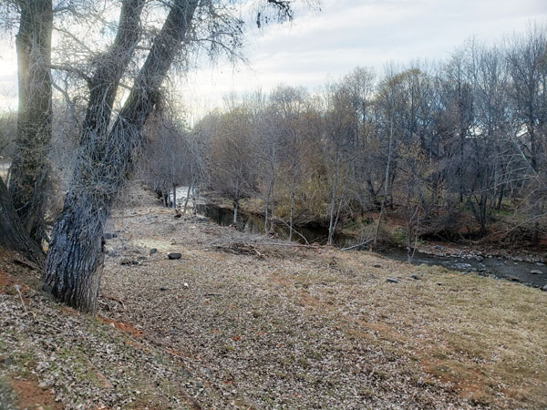 the banks of Oak Creek de-cluttered